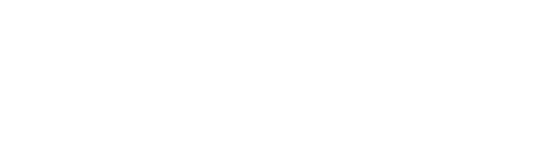 Kimberly Clark Company